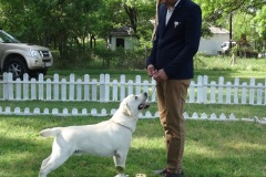 RUPERT12